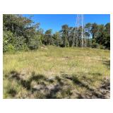20.28 Acres, Tedder St.