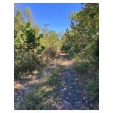 20.28 Acres, Tedder St.