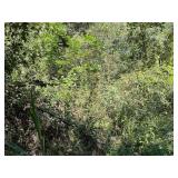 20.28 Acres, Tedder St.