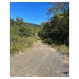 11.31 Acres, Tedder St.