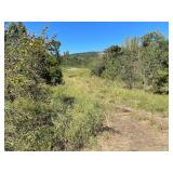 11.31 Acres, Tedder St.