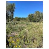 11.31 Acres, Tedder St.