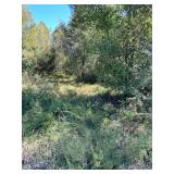11.31 Acres, Tedder St.