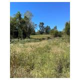 11.31 Acres, Tedder St.