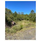 11.31 Acres, Tedder St.