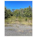 11.31 Acres, Tedder St.