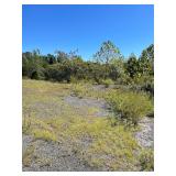 11.31 Acres, Tedder St.