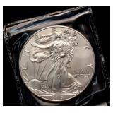 2013 Walking Liberty Silver Dollar Coin