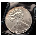 2013 Walking Liberty Silver Dollar Coin