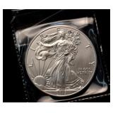 2013 Walking Liberty Silver Dollar Coin