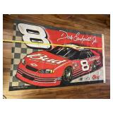 # 8 DALE EARNHARDT JR. FLAG