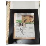 Signed Tennis Memorabilia