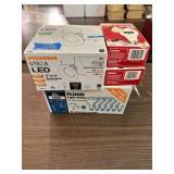 Light bulbs and fixture