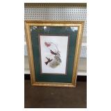 Framed Hummingbird Print with Gold Frame