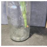 Decorative Ball & Co. Mason Jar with Faux Flowers