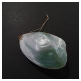 Decorative Sea Shell Ornament