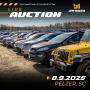 SOUTHEAST AUTOMOBILE AUCTION FEATURING VEHICLES, BOATS, MOTORCYCLES, RVS - AUGUST 9TH AT 9AM ET