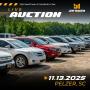 SOUTHEAST AUTOMOBILE AUCTION FEATURING VEHICLES, BOATS, MOTORCYCLES, RVS - NOVEMBER  13TH