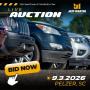 SOUTHEAST AUTOMOBILE AUCTION - SEPT 3RD at 5:30 PM ET