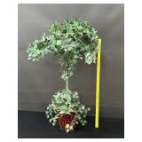 Bamboo Base English Ivy Plant