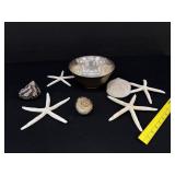 Silver Bowl Full Starfish, Blow Fish & More