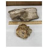 2 Pieces of Petrified Wood Fossils