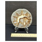 Utah Septarian Slabe W/ Stand