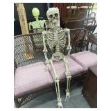 Vintage Life Size Skeleton