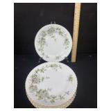 8 Franconia Hawthorn Salad Plates