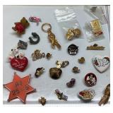 Pin Lot With Various Designs and Themes