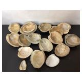 Sea Shells in Various Natural Tones