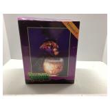 Animated Halloween Fiber Optic Witch Display, Appr