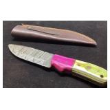 Damascus Steel Knife With Multicolored Handle and