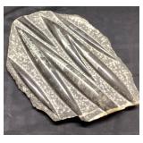 Fossil Stone with Leaf and Shell Impressions, Appr