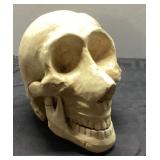 Vintage Halloween Decor Skull Prop