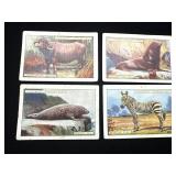 1924 John Player & Sons Natural History Tobacco Ca