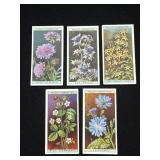 1933 Flowers Wills Cigarettes Tobacco Cards Featur