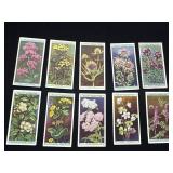 10 Vintage Wills Cigarettes Cards Featuring Wild F