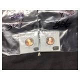 Two Lincoln Penny Coins in Protective Sleeves