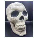 Life-Size Hinged Plastic Human Skull Model
