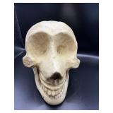 Hand-Carved Wooden Gorilla Skull Model