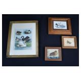 4 Framed Duck, Goose & Swan Prints