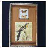 Haslam West Print GREAT SPOTTED CUCKOO