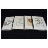 Set of 4- Ethan Allen Floral Lithographs