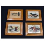 4 Vintage Framed Duck Prints