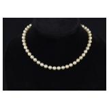 8mm Pearl Necklace with 14kt White Gold Clasp