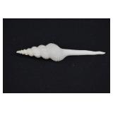 Distaff Spindle Seashell Shell