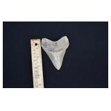 4" Megalodon Shark
