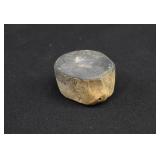Fossilized Small Whale Vertebra Centrum