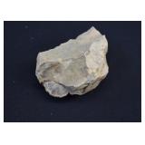 Shale Embedded Brachiopod Fossil Specimen
